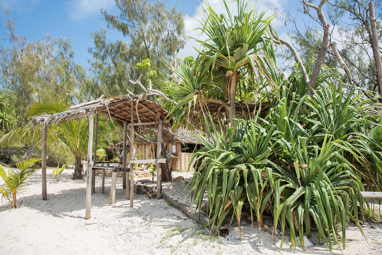 Thatched roof shelter on the beach with tropical plants and trees on Mystery Island, Vanuatu