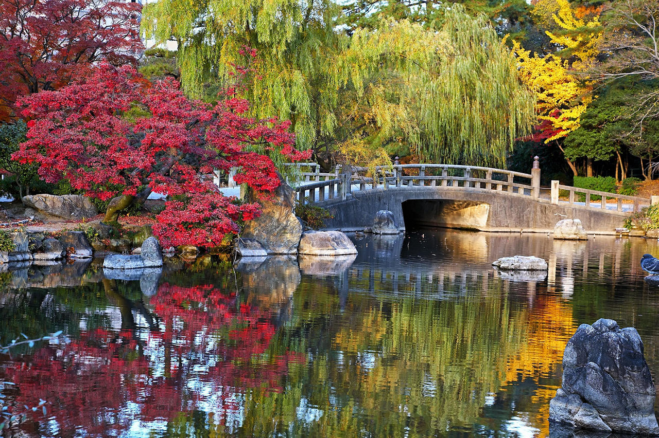 Autumn traditional japanese landscape with pond and trees and stone bridge in Zurumai park, Nagoya, Japan