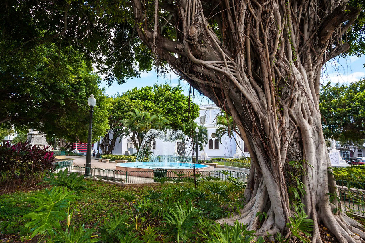 Community Park with Fountain, Ponce, Puerto Rico