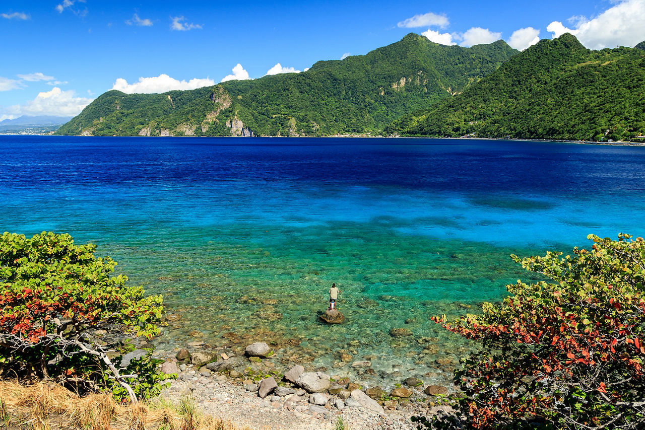 Sunny Day at Scottshead Marine Reserve, Roseau, Dominica
