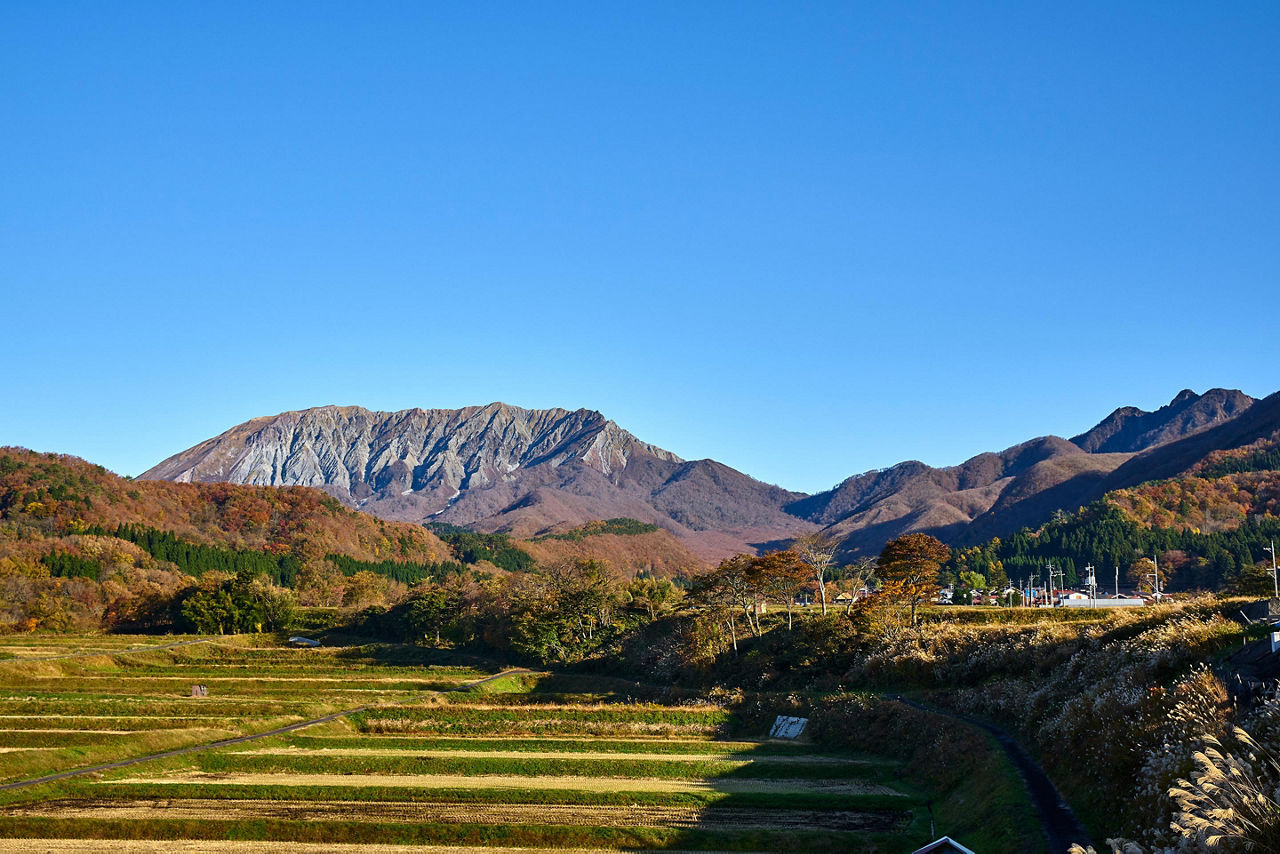 Field of agriculture in Sakaiminato, Japan