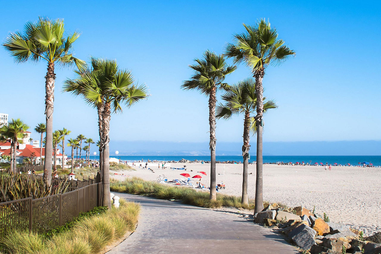 Beach and Palm Trees in San Diego, California