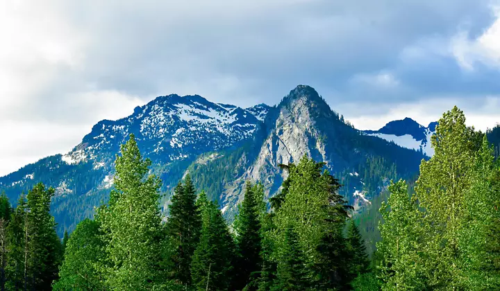 Pacific Coastal Cruise