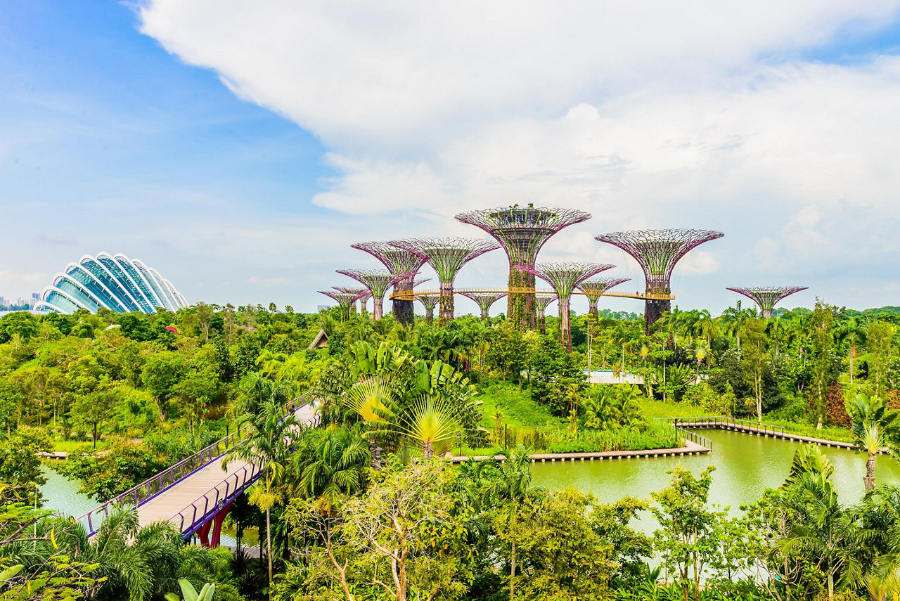 Day view of the Supertree Grove of the Gardens by the Bay in Singapore