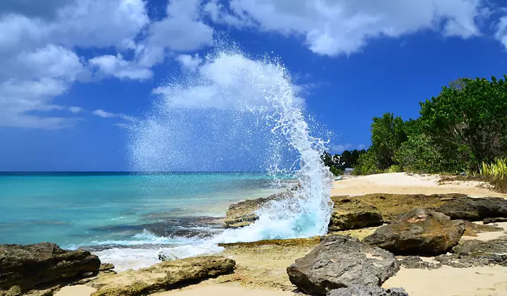 Southern Caribbean Cruise