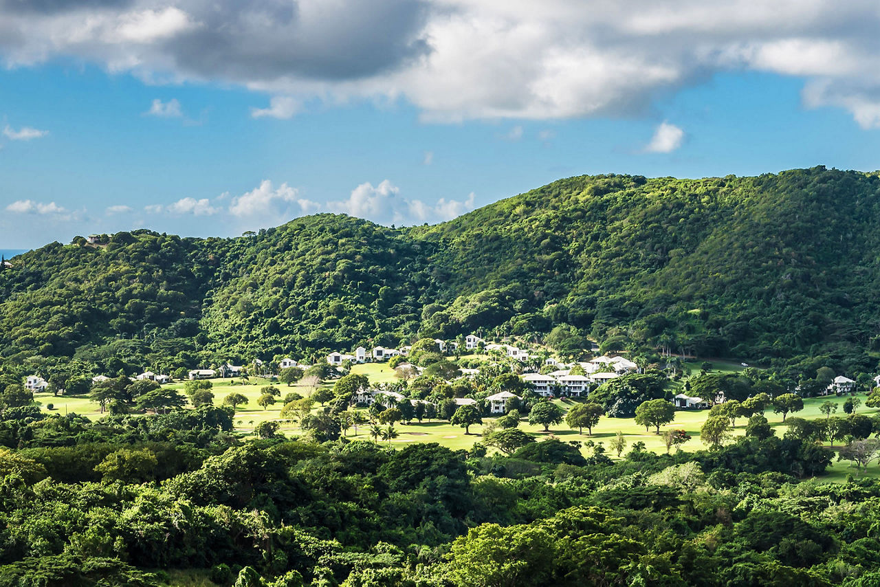 Lush Natural Scenery, St. Croix, U.S. Virgin Islands