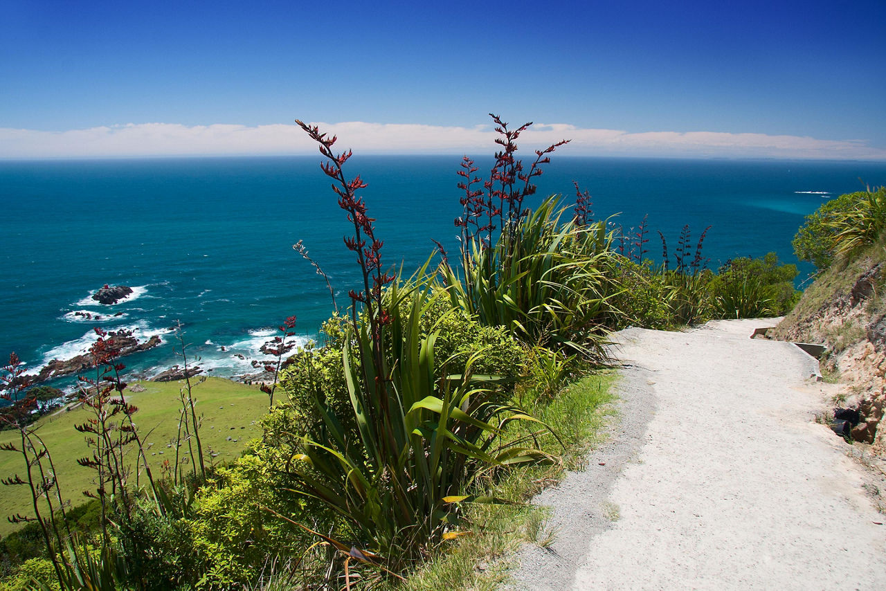 View of the ocean from Mount Maunganui
