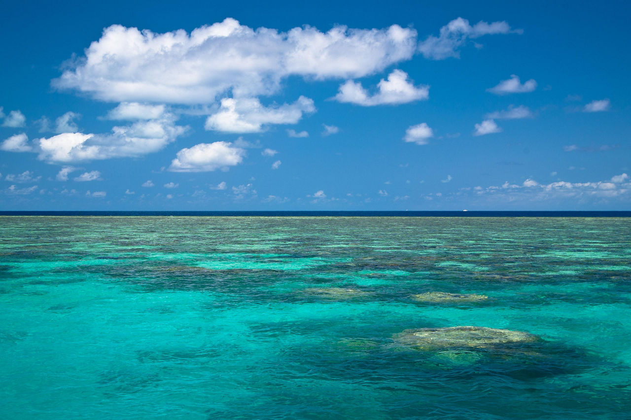 Great Barrier Reef in Australia