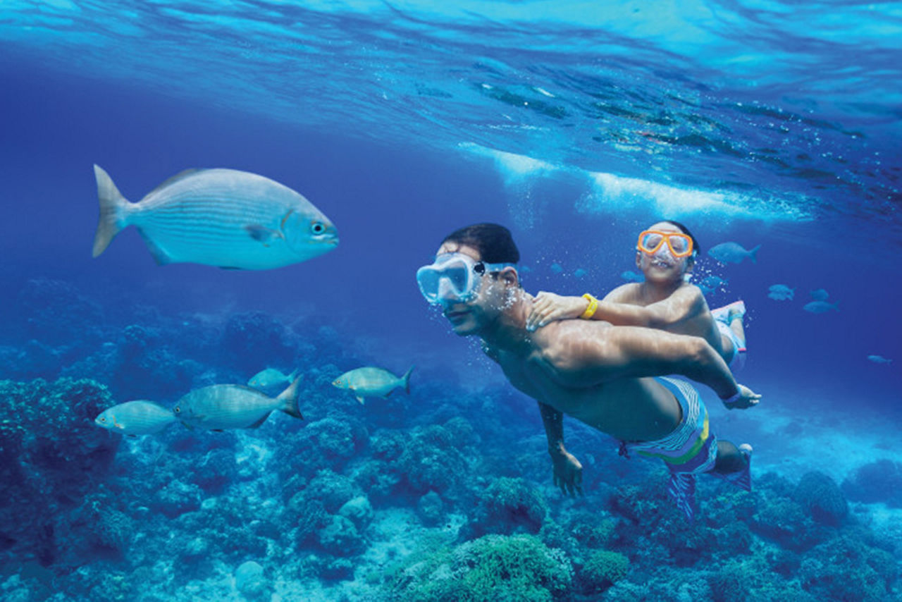 Cozumel Columbia Reef Snorkeling Father and Son