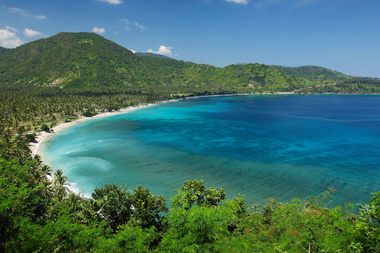  Tropical calm lagoon with palm trees among a coast at sunny day. Lombok island, Indonesia