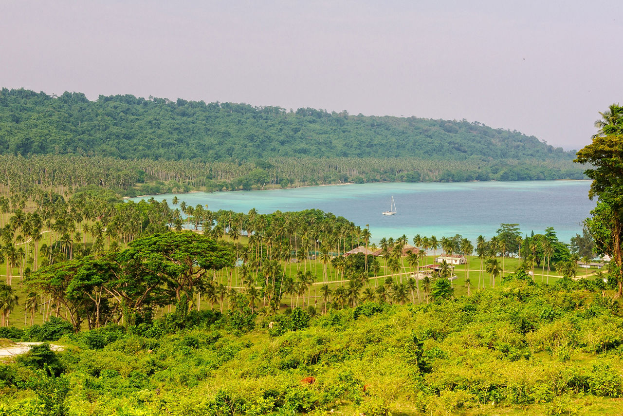 Forest and Coast of Luganville Vanuatu