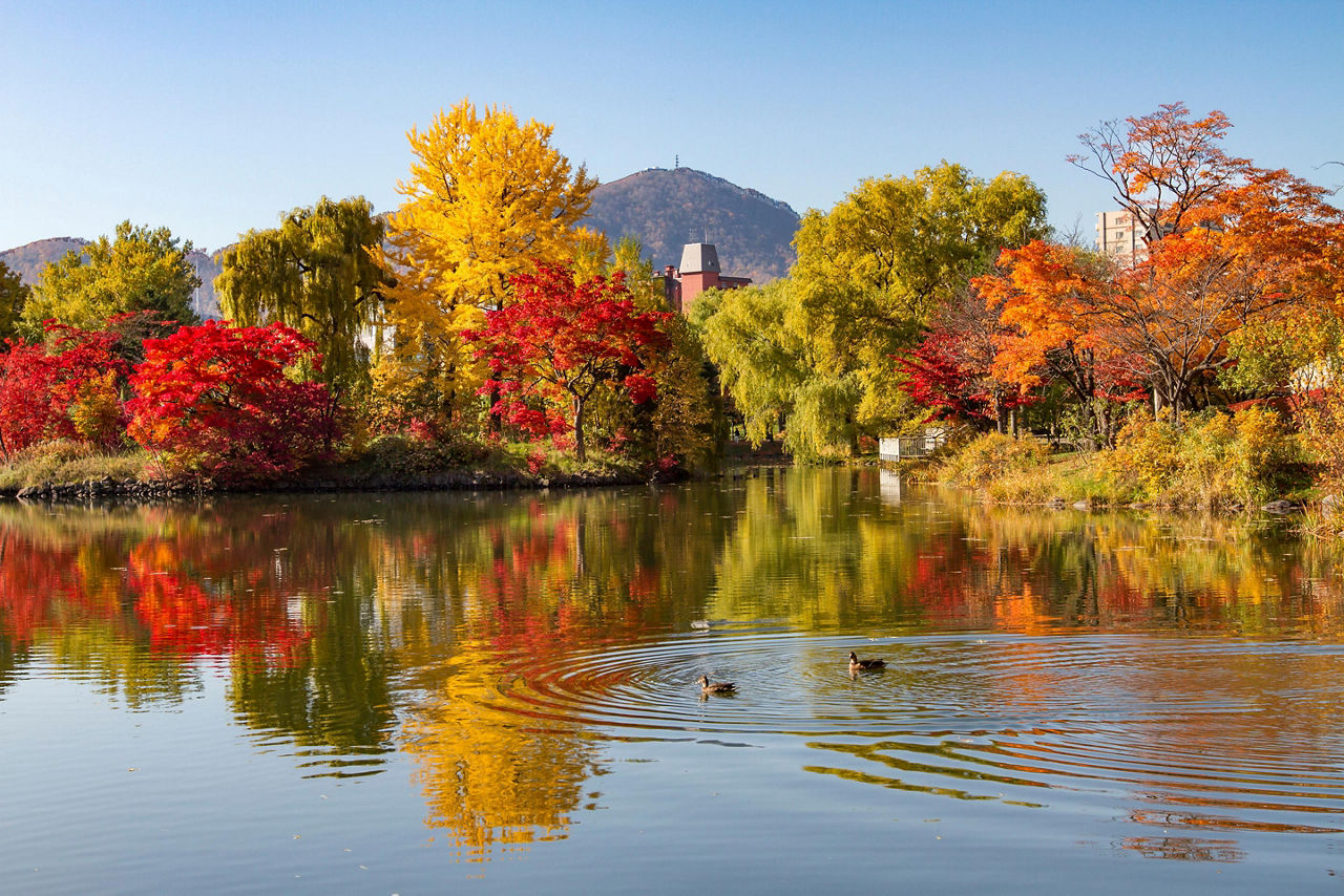 Nakajima Park in Sapporo, Japan