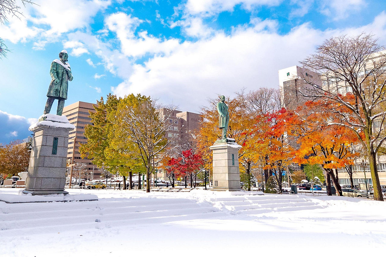 Snow fall at Odori Park in Sapporo, Japan