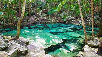 Western Caribbean Getaway - Image 4