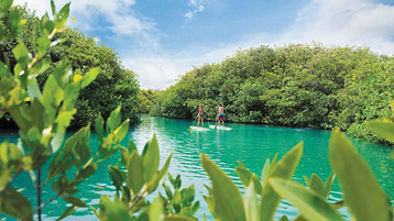 Western Caribbean Cruise - Image 9