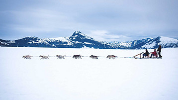 Alaska Northbound Glacier - Image 1