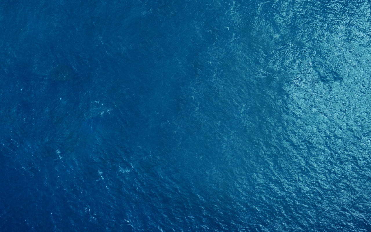 dualships bg nb desktop