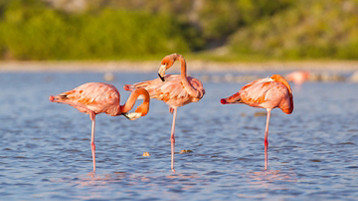 Eastern Caribbean Cruise - Image 2