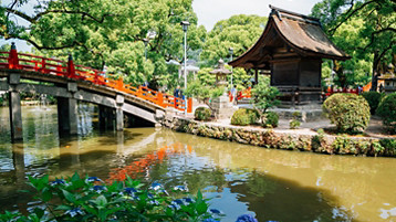 Best Of Japan Holiday Cruise - Image 2