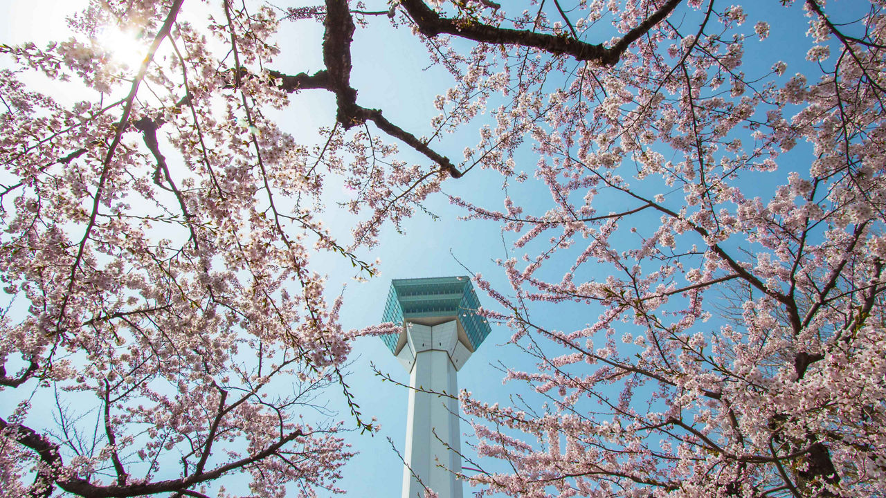 hakodate japan