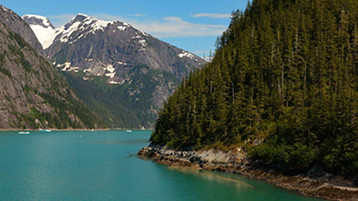 Alaska Inside Passage Cruise - Image 2