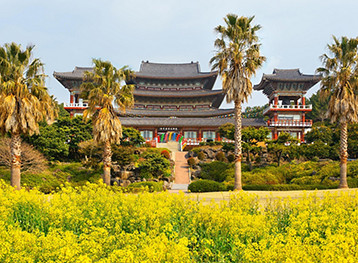Famous buddhist temple with palm trees and green grass at Jeju Island, South Korea