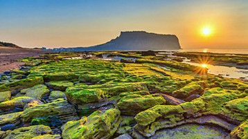 Best Of Japan & South Korea Cruise - Image 6
