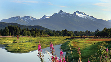 Alaska Northbound Glacier - Image 1