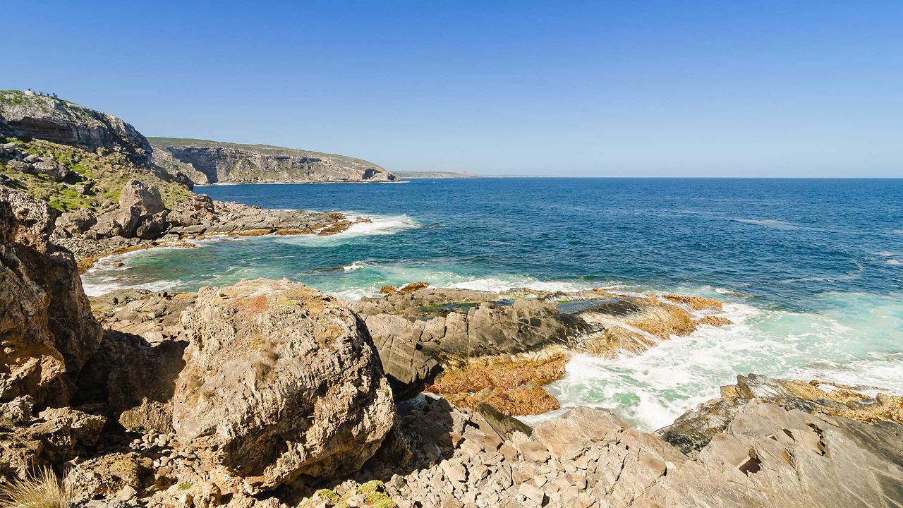 kangaroo island