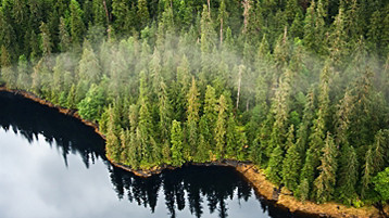 Alaska Inside Passage Cruise - Image 4