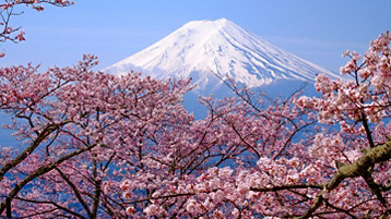 Best Of Japan Cruise - Image 3