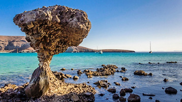 Ensenada, Cabo & La Paz Cruise - Image 10