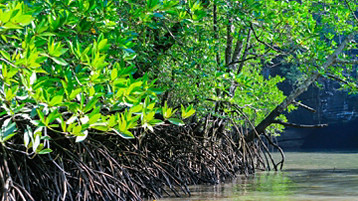 Penang, Phuket & Langkawi - Image 1