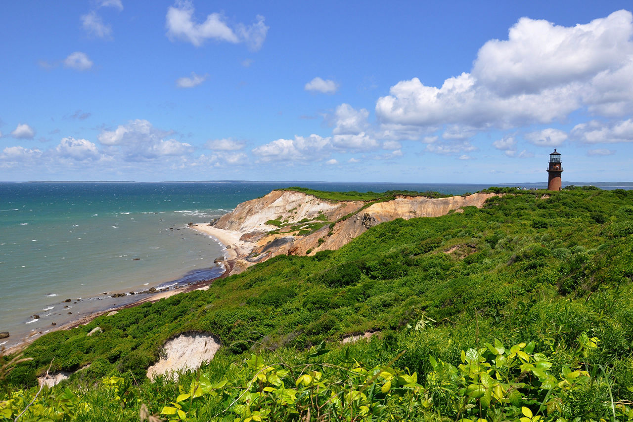 Aerial of Marthas Vineyard by the Coast