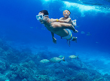 Dad and Son snorkelling under the water in Cozumel, Mexico