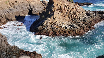 Ensenada Cruise - Image 3