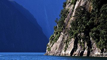 New Zealand Cruise - Image 5