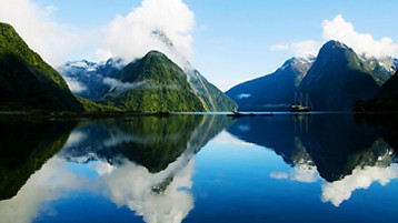 New Zealand Cruise - Image 8
