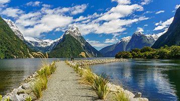 New Zealand Cruise - Image 4