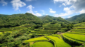 Singapore To Tokyo Cruise - Image 4