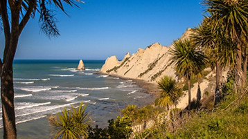 New Zealand Cruise - Image 4