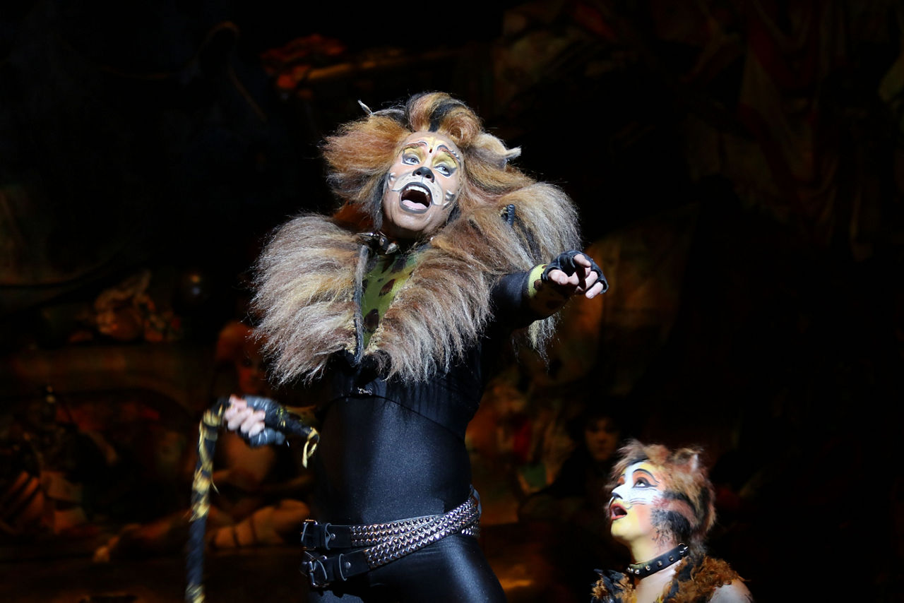 A singer in a furry cat suit singing to Cats Broadway show on Oasis.