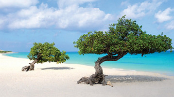 Southern Caribbean Cruise - Image 3