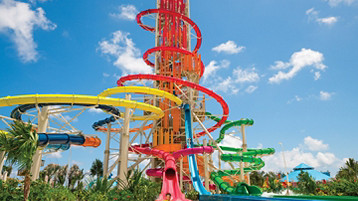 Bahamas & Perfect Day Cruise - Image 5