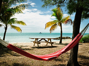 picnic table on the beach with a hammock and palm trees. Florida.