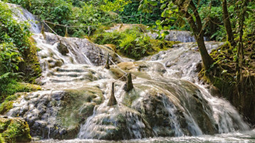 South Pacific Cruise - Image 14