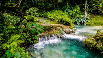 South Pacific Cruise - Image 13