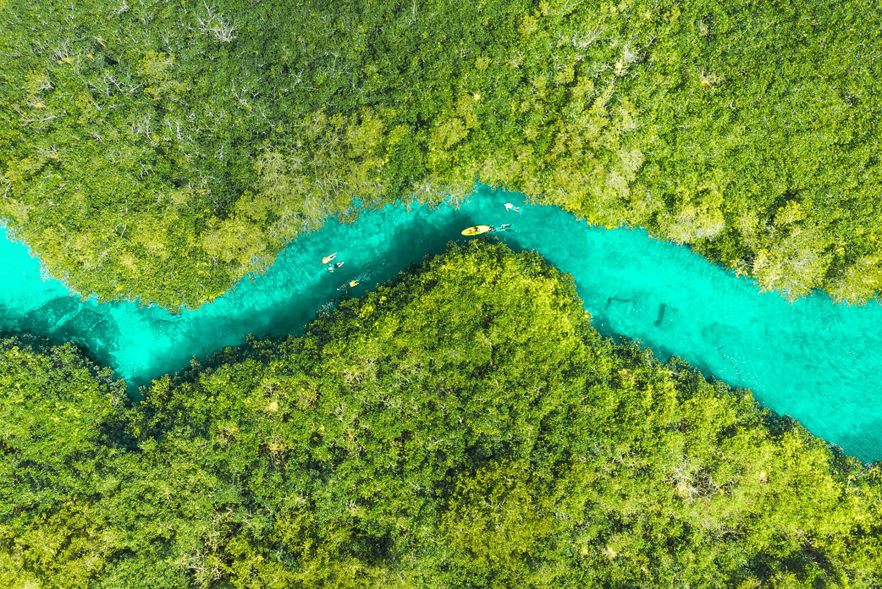 Aerial view of Casa Cenote in Tulum, Quintana Roo, Mexico