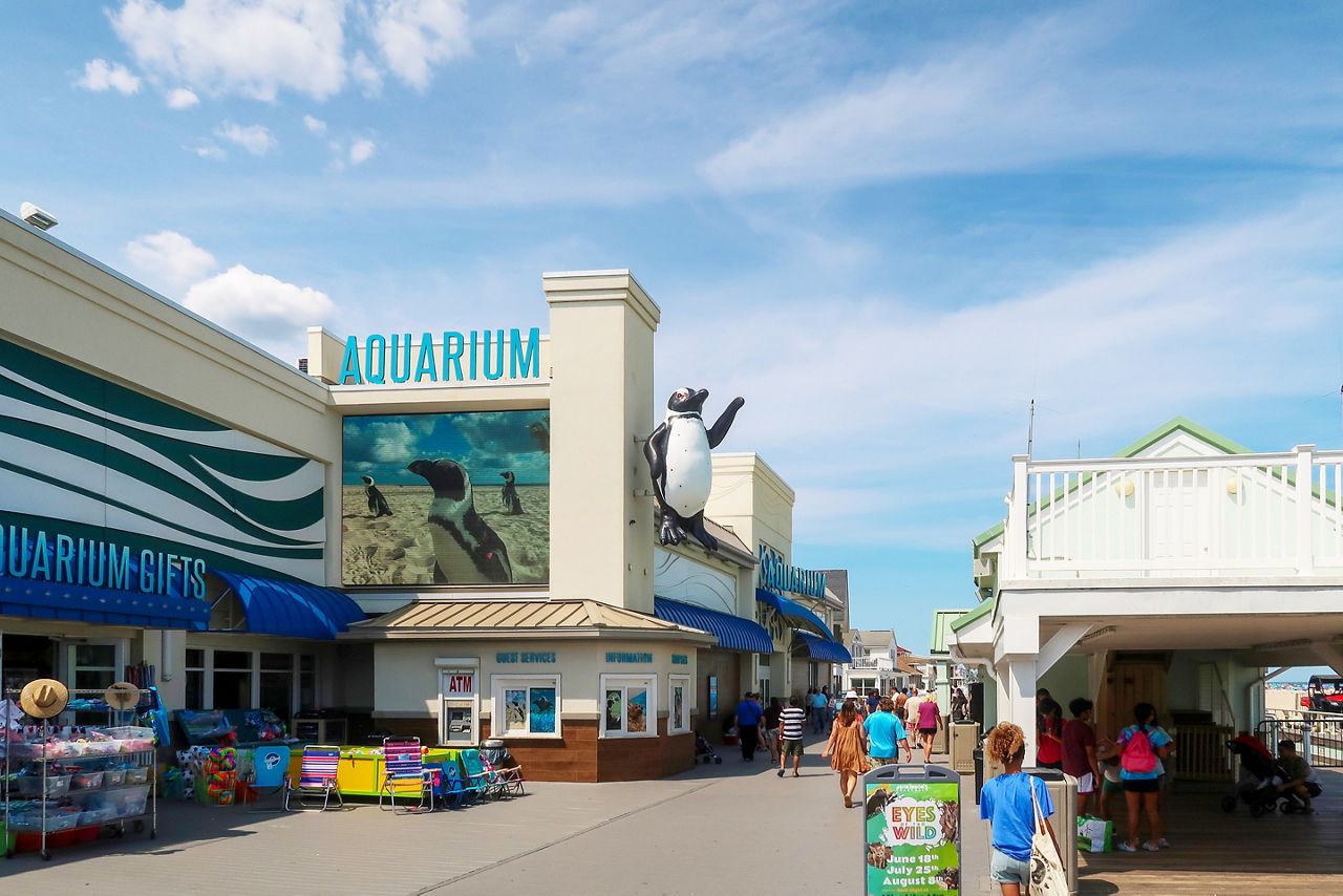 Aquarium on Jenkinson’s Boardwalk in Point Pleasant Beach, NJ. 