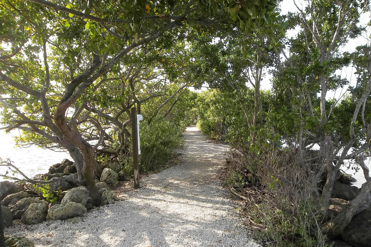 View at Biscayne National Park, Florida. Photo taken on Jetty Trail.